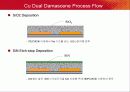 Cu interconnect technology 13페이지