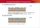 Cu interconnect technology 14페이지