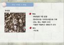 건축재료 (석재) 19페이지