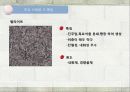 건축재료 (석재) 28페이지