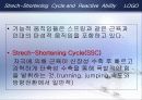 순발력과 스테미나 8페이지