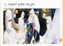국내 업체들의 반도체, LCD 경쟁전략 - 삼성전자, LG PPT자료 12페이지