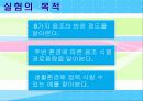 음조절대식별경로 3페이지