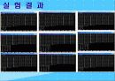 음조절대식별경로 5페이지