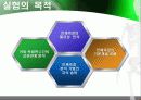 인체측정실험 3페이지
