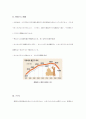 [일본어레포트]한일 저출산 문제와 정책 2페이지