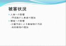 [일본어 프레젠테이션]원자력에 대하여 7페이지