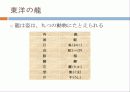 [일본어 프레젠테이션]용과 드래곤의 차이 9페이지