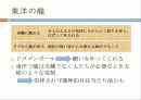 [일본어 프레젠테이션]용과 드래곤의 차이 11페이지