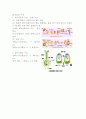 식물의 수정과 종자의 형성 4페이지