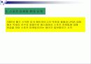 TOP프로그램 10페이지