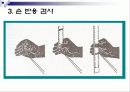 체력요인별 측정평가 8페이지