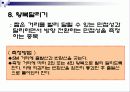 체력요인별 측정평가 16페이지