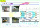 서바이벌게임 사업계획서(스포츠경영) 55페이지