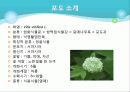 포도의 재배와 관리 4페이지