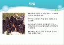 포도의 재배와 관리 8페이지