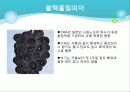 포도의 재배와 관리 9페이지