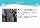 포도의 재배와 관리 12페이지