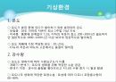 포도의 재배와 관리 21페이지