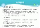 포도의 재배와 관리 22페이지