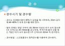 포도의 재배와 관리 28페이지