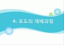 포도의 재배와 관리 31페이지