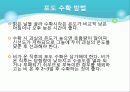 포도의 재배와 관리 36페이지
