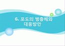 포도의 재배와 관리 38페이지