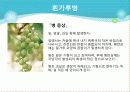 포도의 재배와 관리 43페이지