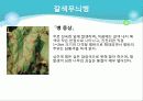 포도의 재배와 관리 45페이지