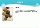 포도의 재배와 관리 48페이지