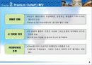 Primium Outlet 시장의 현황과 사례조사 4페이지