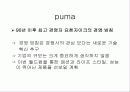아디다스와 푸마 6페이지