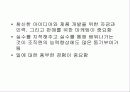아디다스와 푸마 13페이지