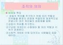 스포츠조직 2페이지