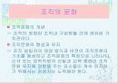 스포츠조직 6페이지
