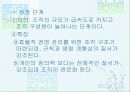 스포츠조직 9페이지