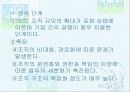 스포츠조직 10페이지