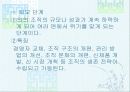 스포츠조직 11페이지