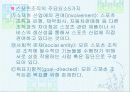 스포츠조직 13페이지