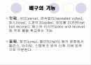 스포츠스킬테스트 4페이지