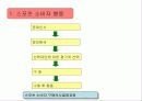 스포츠마케팅 10페이지