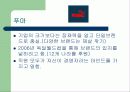 스포츠와 기업경영(아디다스 푸마) 5페이지
