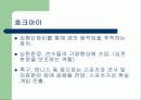 스포츠와 기업경영(아디다스 푸마) 9페이지