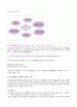 소비자 행동 이론과 접목시켜 본 유니클로 (UNIQLO), 마케팅 사례 분석 18페이지