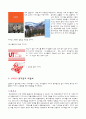 소비자 행동 이론과 접목시켜 본 유니클로 (UNIQLO), 마케팅 사례 분석 19페이지
