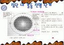 갈등의원인과진행단계,갈등에대한발표PPT,갈등의진행단계,경쟁함정 3페이지