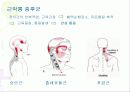 근골격계질환의 증상과 진단검사 6페이지