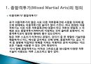 이종격투기(mma) 시장의 문제점과 대안 3페이지