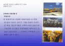 중국의 관광자원에 대하여 발표자료, 중국관광자원, 관광자원분석, 중국, 중국의관광자원, 중국의관광자원현황 PPT자료 9페이지